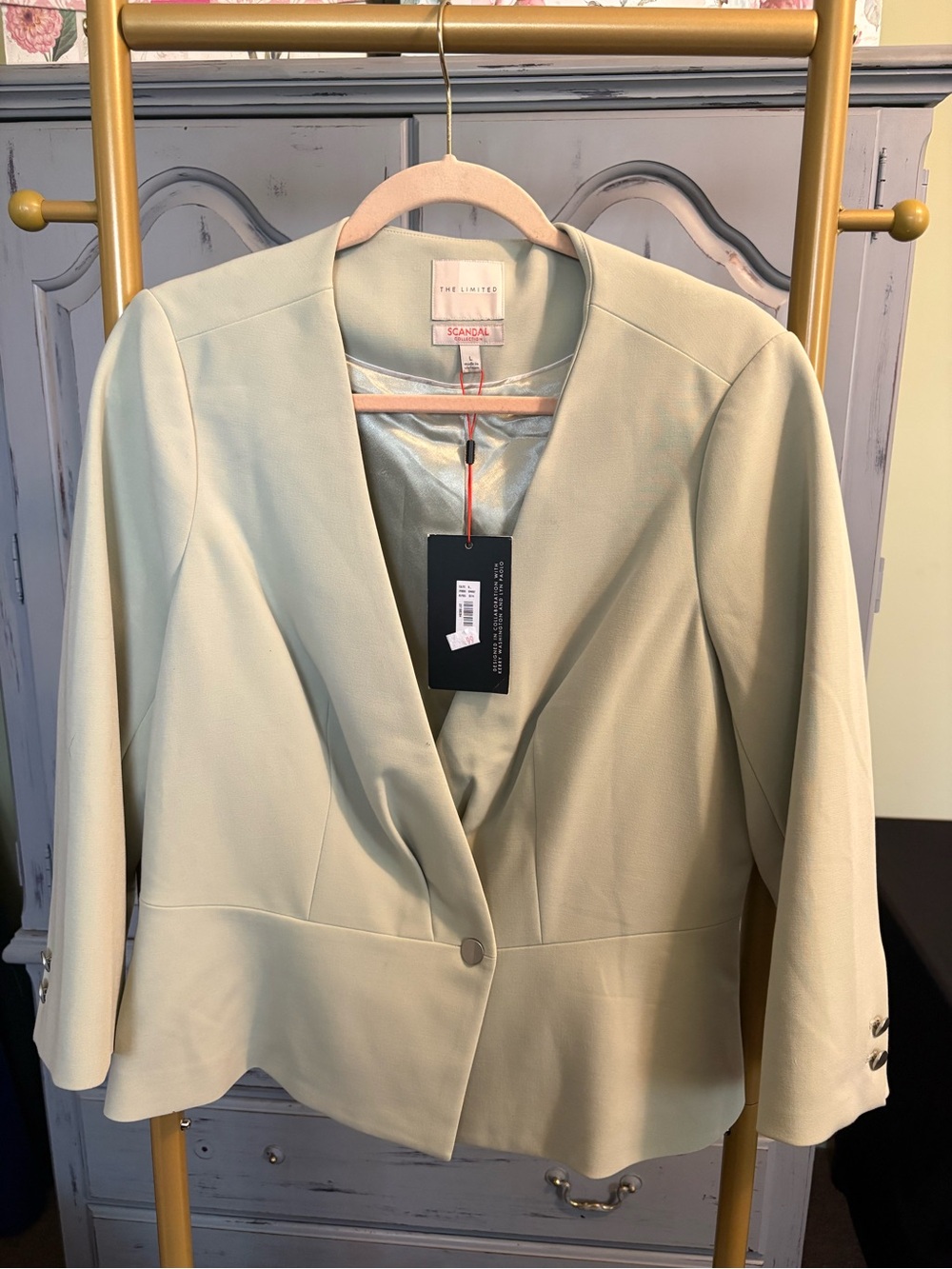 The Limited Scandal Collection Soft Green Women’s Blazer